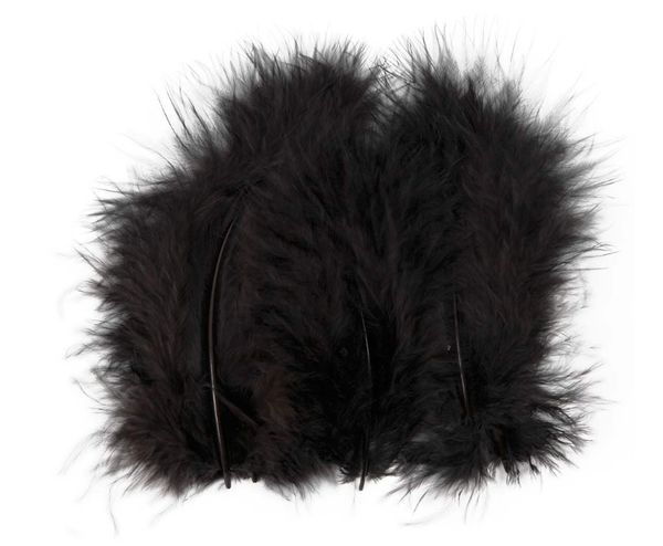Hovedbilde Fjær, svart