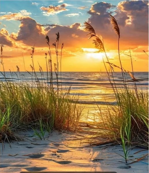 Hovedbilde Solnedgang på stranden, 40 x 50 cm