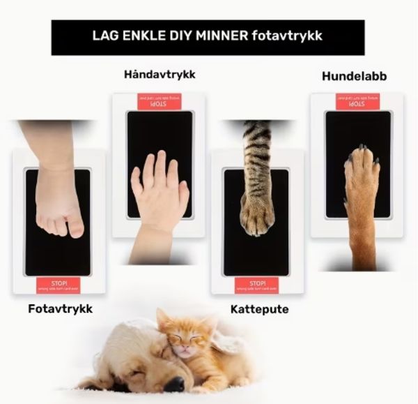 Hovedbilde Avtrykks-pute, sort
