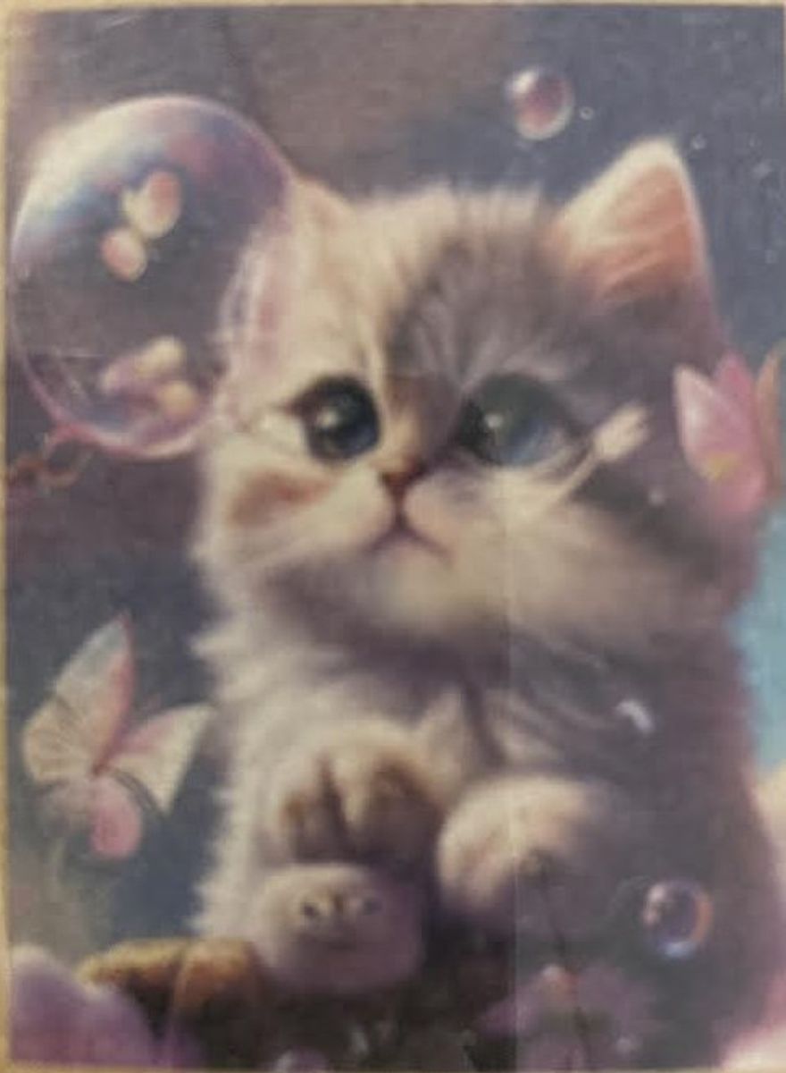 Katt med såpebobler, 35 x 45 cm